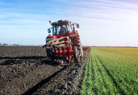 Agro-industrie, transformation agricole