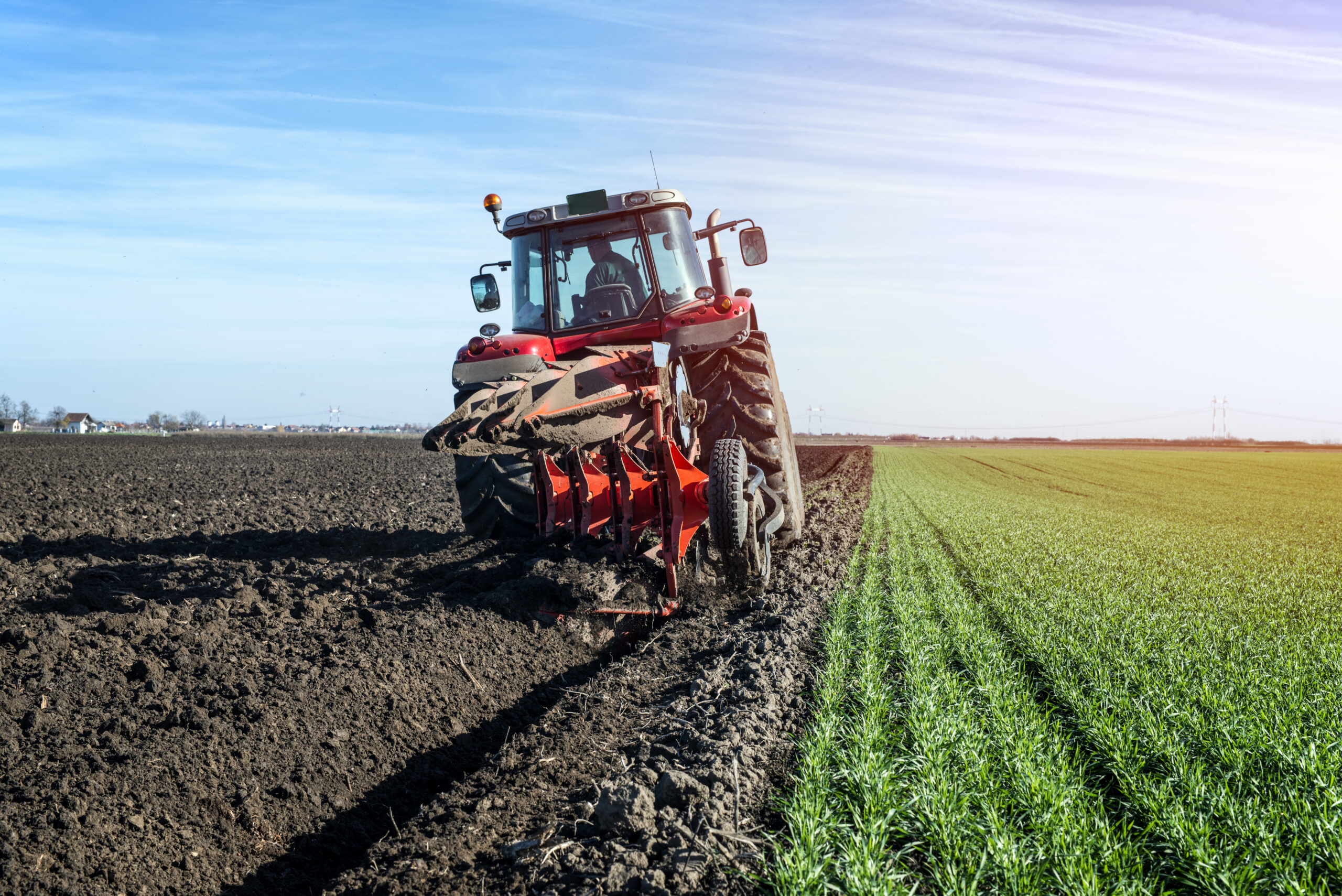 Agro-industrie, transformation agricole